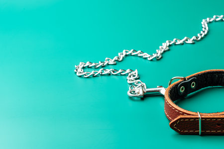 Pet leather collar and leash on green backgroundの写真素材