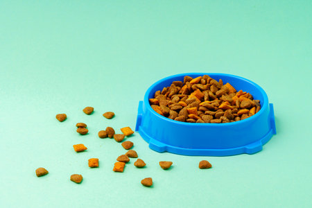 Dry pet food in bowl on color backgroundの写真素材