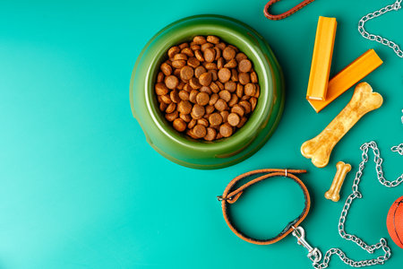Dog dry food in bowl, toy ball and leash on green backgroundの写真素材