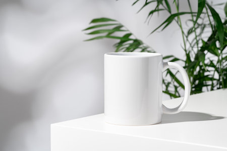 Porcelain cup and palm branch on white backgroundの写真素材