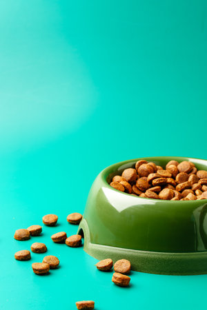 Bowl of dry pet food on green background
