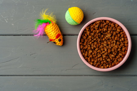 Top view of bowl with dry pet food on gray wooden backgroundの写真素材