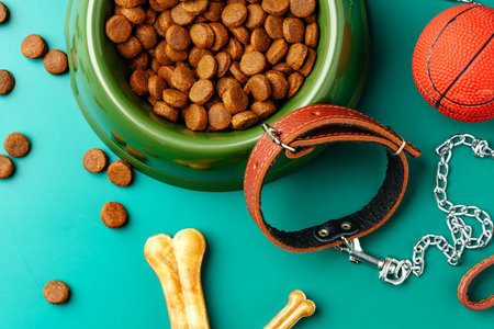 Dog dry food in bowl, toy ball and leash on green backgroundの写真素材