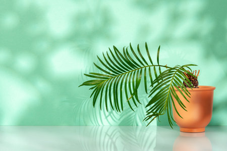 Tropical leaves palm tree on a mint backgroundの写真素材