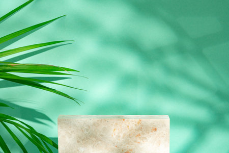 Tropical leaves palm tree on a mint background