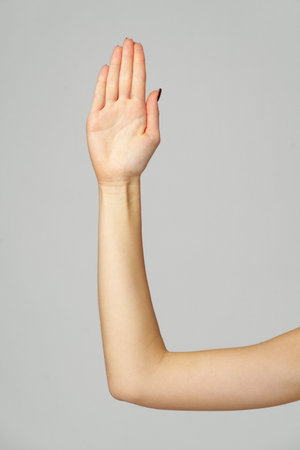 Female hand palm sign on gray backgroundの写真素材
