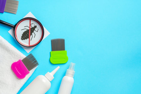 Anti lice equipment on blue background top viewの写真素材