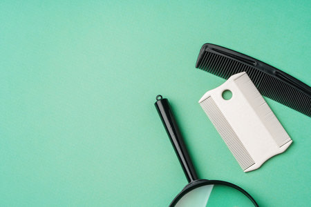 Anti lice equipment on green background top viewの写真素材