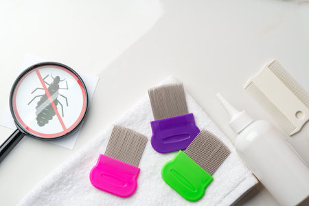 Comb, anti lice medicine and towel on white backgroundの写真素材