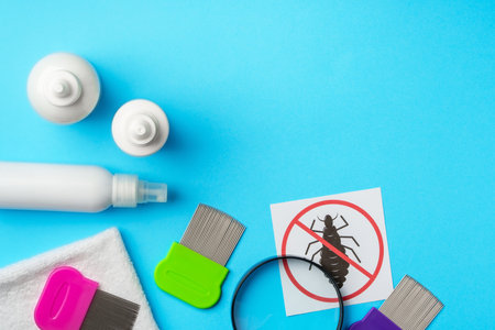 Anti lice equipment on blue background top viewの写真素材