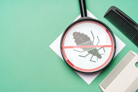 Anti lice equipment on green background top viewの写真素材