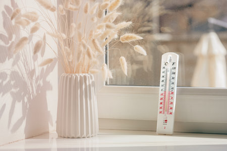 White Vase With Dried Pampas Grass and Thermometer on Windowsillの写真素材