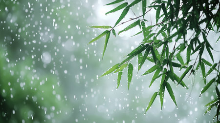 Captivating view of rain falling on vibrant green bamboo leaves in a lush forest settingの素材