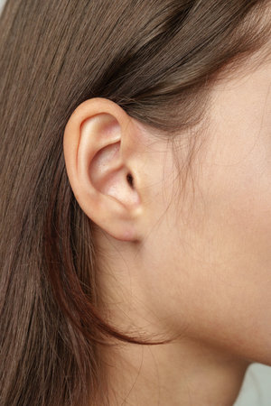 Close Up of a Womans Ear With Brown Hairの写真素材