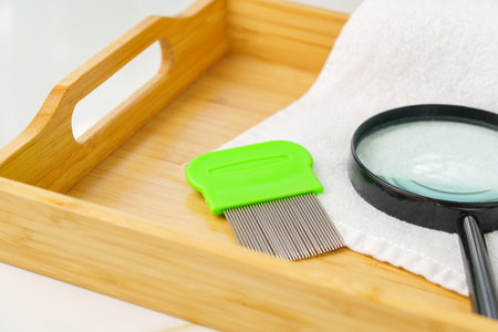 Green Comb on a Countertop with Lice Treatment Products
