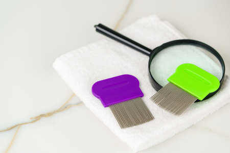 Comb for lice treatment on a Countertopの写真素材