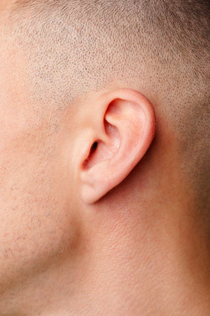 View of Male Ear and Haircut With Skin Texture Under Natural Light