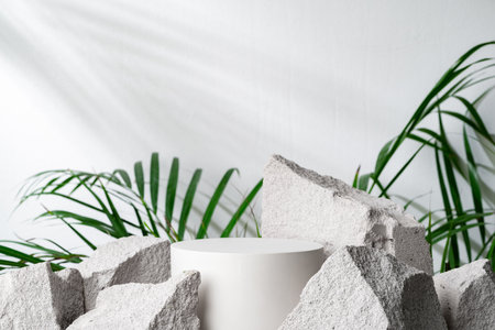 A minimalistic display featuring a round pedestal surrounded by textured rock and tropical plants in a softly lit settingの写真素材