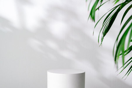 Minimalist white pedestal with soft shadows from a green plant against a bright wall in natural lightの写真素材