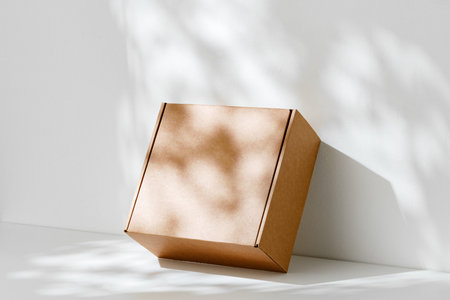 Simple brown cardboard box positioned on a white surface with soft angled shadows in natural lightの写真素材