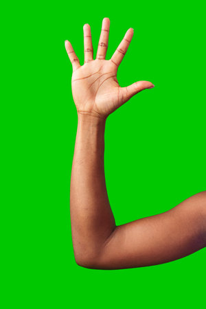 A hand making a gesture with a green background during daylightの写真素材