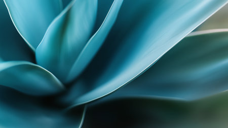 Close-up view of a lush blue succulent plant with smooth curves against a blurred background in natural lightの素材