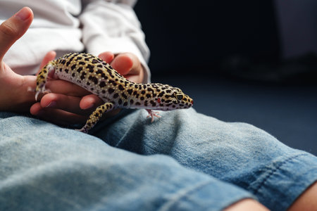 Child gently holds a leopard gecko while sitting on a blue carpet in a cozy indoor setting during...