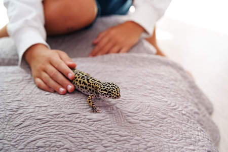 Child interacts with a leopard gecko on a bed in a cozy indoor space during daytimeの写真素材