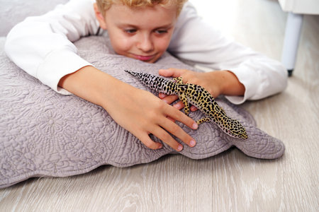 Boy interacts with a leopard gecko on a cozy cushion at home during the afternoonの写真素材