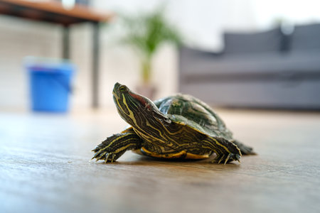 Turtle exploring a modern living room on a sunny day with natural light streaming through the...