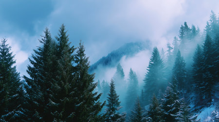Majestic winter forest landscape with misty mountains and dense evergreen trees under a cloudy skyの素材