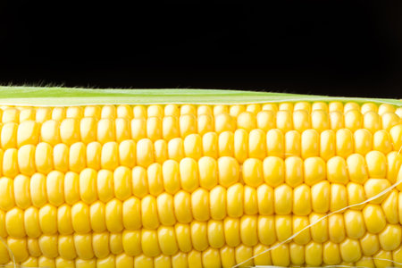 Close up of a corn on a dark background