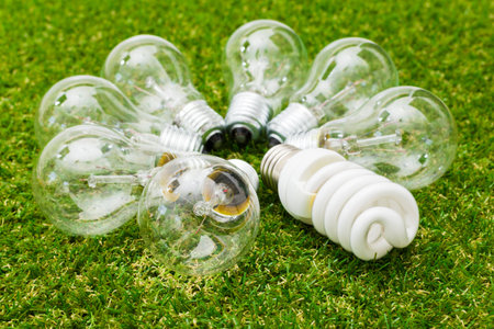 Light bulb in the grass. Saving energy concept