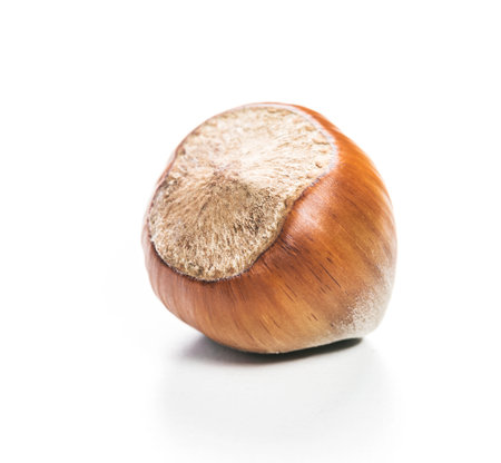 Unique round hazelnut with smooth shell and natural texture captured on white background