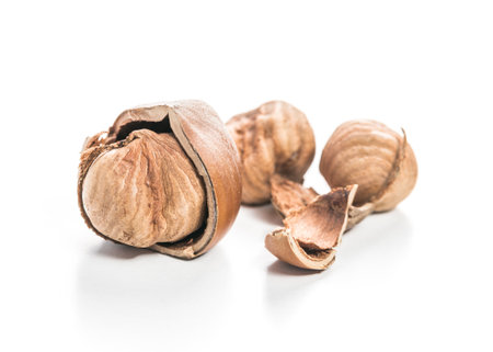 Nutshells and fragments scattered on a white surface highlighting natural textures and shapes