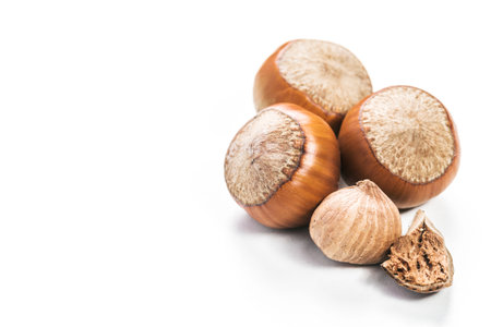Freshly harvested hazelnuts on a white background showcasing their shells and meats