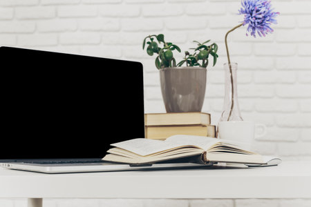 Workspace setup with laptop, open book, and decorative plant in a bright environmentの写真素材