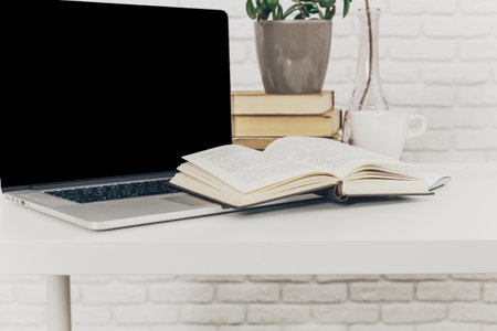 Workspace with an open book, laptop, and potted plant during the day