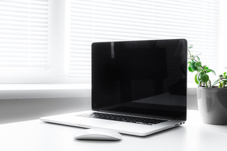Modern workspace with laptop and potted plant near bright window in minimalistic design
