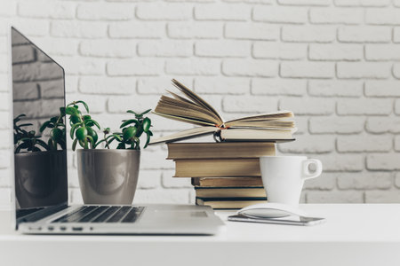 Workspace featuring books, plants, and a laptop on a white desk with coffee mug