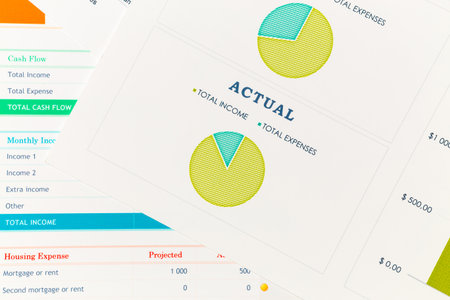 Financial overview with cash flow analysis and expense breakdown in budget report