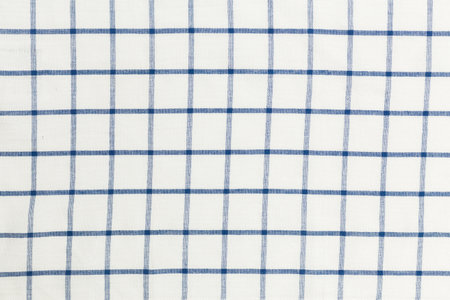 Blue and white checkered fabric with a classic pattern used for various crafts and designs