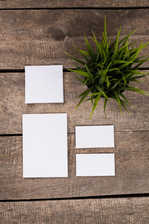 Blank paper templates arranged neatly on a wooden table with a small plant nearby