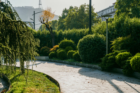 Peaceful morning stroll through a lush urban park with greenery and gentle sunlight near city buildingsの写真素材