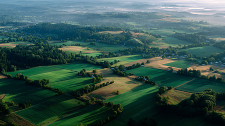 Aerial view of lush green fields and rolling hills in a peaceful rural landscapeの素材