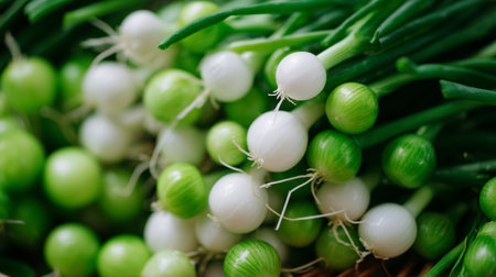 Fresh green onions on display at a market in the daytime for saleの素材