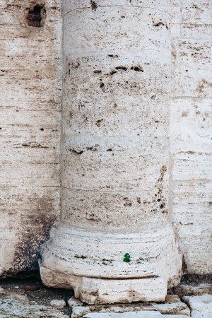 Column located in an old building with signs of age and a small green plant at its base