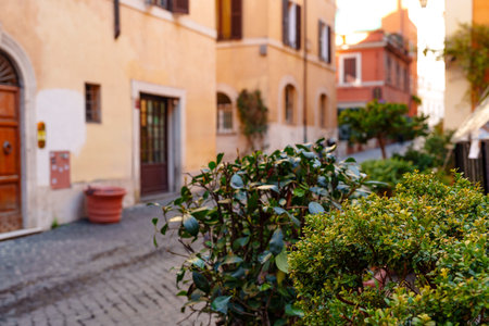 Quiet street in Rome with greenery and buildings during sunsetの写真素材