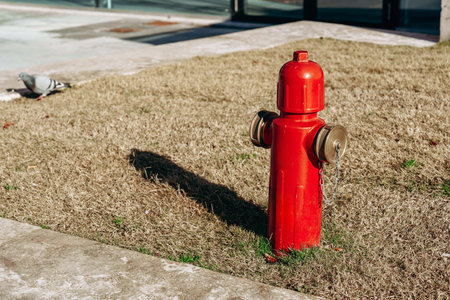 Fire hydrant stands on dry grass near a sidewalk in an urban environment during daytime