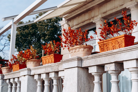 Bright orange pots with plants on a balcony in a city during the day